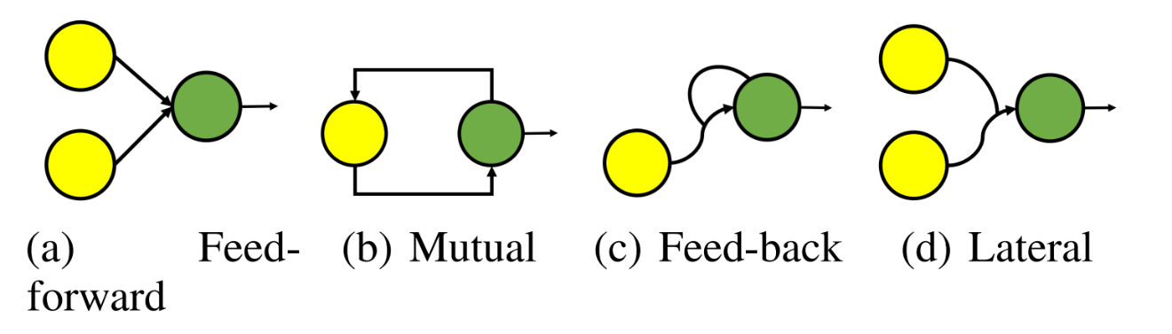 图1：神经元之间的不同回路模式，绿色的神经元通过黄色神经元传入的信号更新自身的状态。从左往右，四种模式分别是前馈模式，环路模式，反馈模式和横向模式